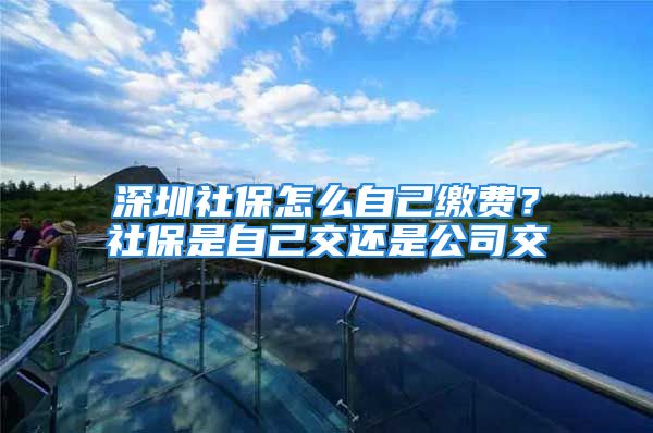 深圳社保怎么自己繳費(fèi)？社保是自己交還是公司交