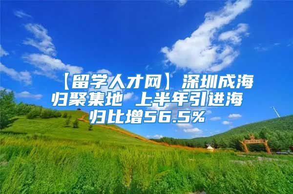 【留學人才網(wǎng)】深圳成海歸聚集地 上半年引進海歸比增56.5%