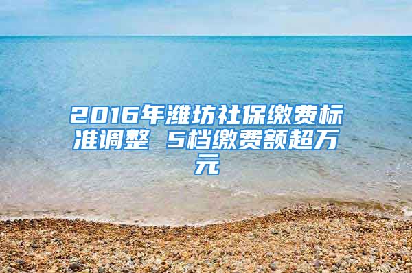 2016年濰坊社保繳費標準調(diào)整 5檔繳費額超萬元