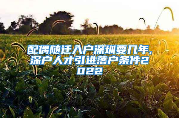 配偶隨遷入戶深圳要幾年,深戶人才引進(jìn)落戶條件2022