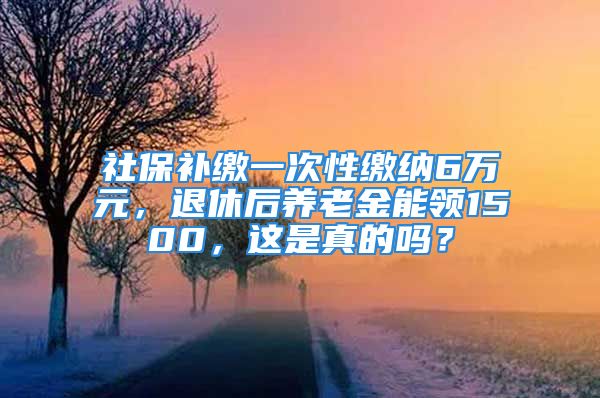 社保補繳一次性繳納6萬元，退休后養(yǎng)老金能領(lǐng)1500，這是真的嗎？