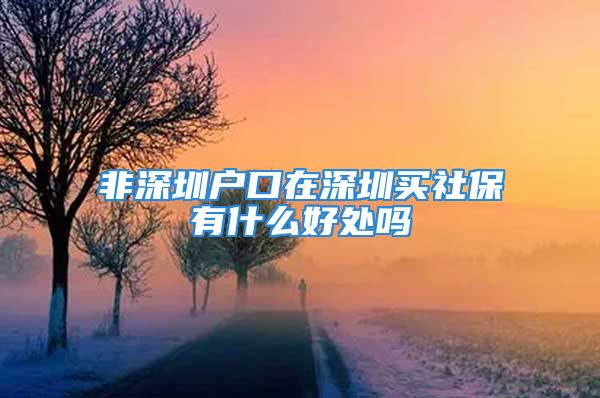 非深圳戶口在深圳買社保有什么好處嗎