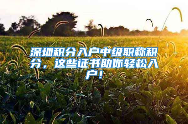 深圳積分入戶中級職稱積分，這些證書助你輕松入戶！