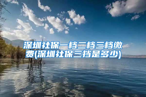 深圳社保一檔二檔三檔繳費(深圳社保三擋是多少)