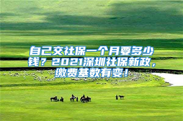 自己交社保一個(gè)月要多少錢？2021深圳社保新政，繳費(fèi)基數(shù)有變！