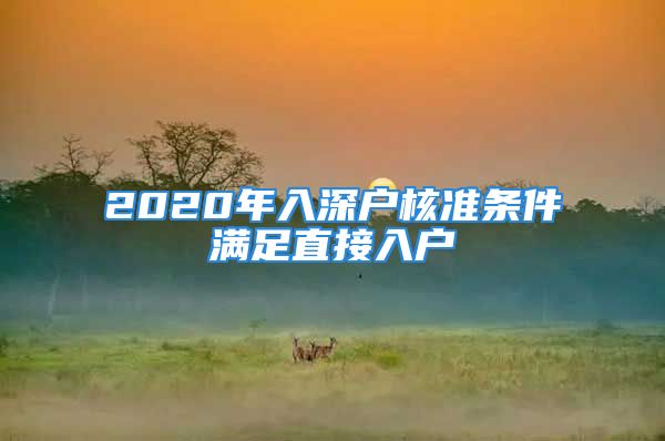 2020年入深戶核準(zhǔn)條件滿足直接入戶