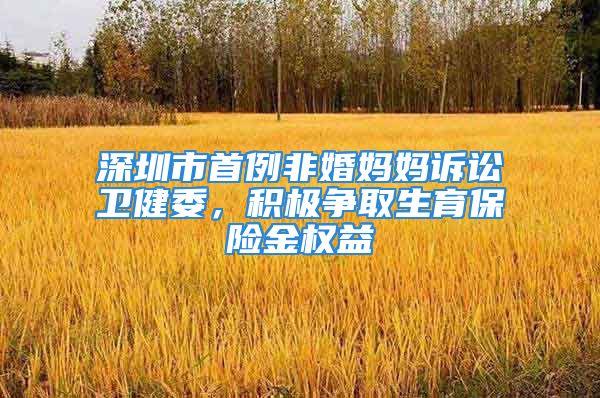 深圳市首例非婚媽媽訴訟衛(wèi)健委，積極爭取生育保險金權益