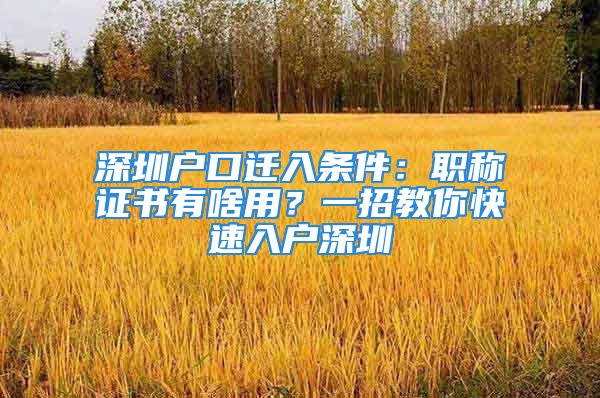 深圳戶口遷入條件：職稱證書有啥用？一招教你快速入戶深圳