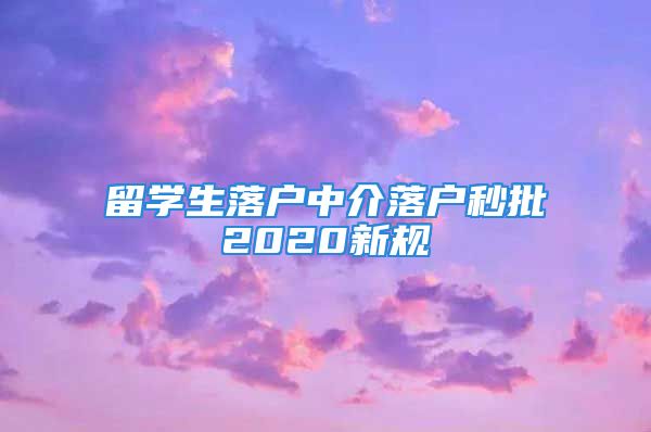 留學(xué)生落戶中介落戶秒批2020新規(guī)