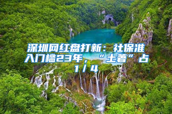 深圳網(wǎng)紅盤打新：社保準(zhǔn)入門檻23年，“土著”占1／4