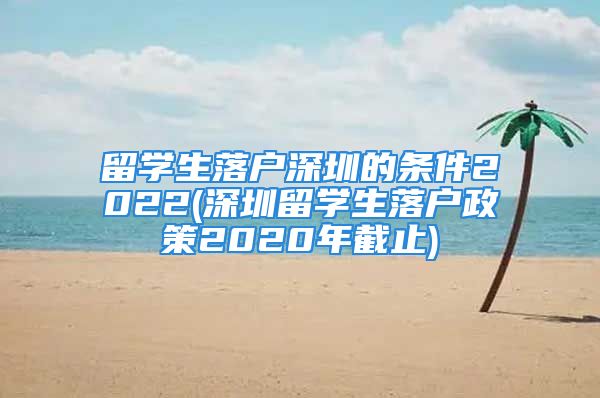 留學(xué)生落戶深圳的條件2022(深圳留學(xué)生落戶政策2020年截止)