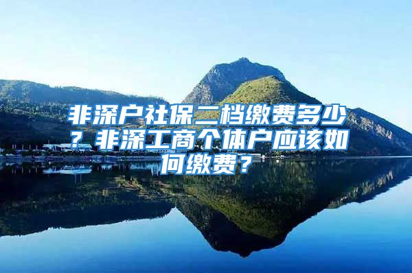 非深戶社保二檔繳費(fèi)多少？非深工商個(gè)體戶應(yīng)該如何繳費(fèi)？