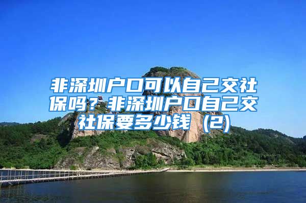 非深圳戶口可以自己交社保嗎？非深圳戶口自己交社保要多少錢 (2)