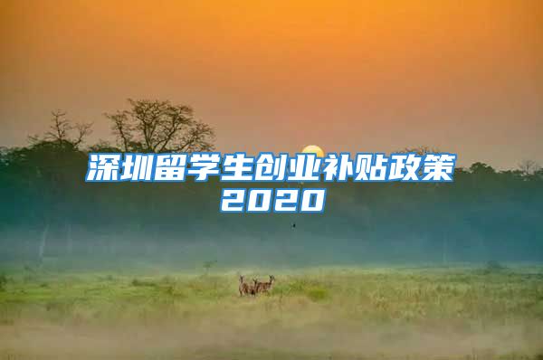 深圳留學(xué)生創(chuàng)業(yè)補(bǔ)貼政策2020