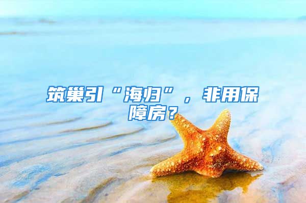 筑巢引“海歸”，非用保障房？