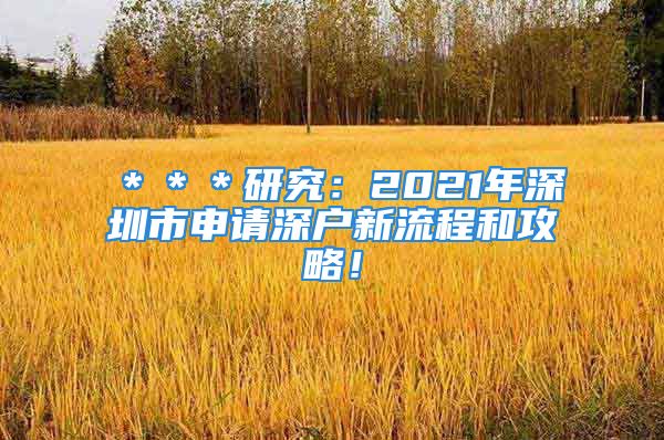 ＊＊＊研究：2021年深圳市申請深戶新流程和攻略！