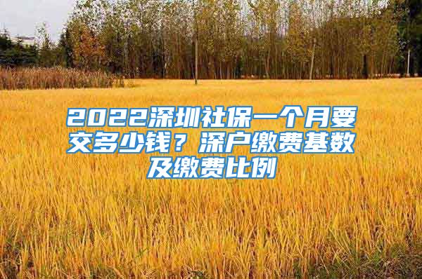 2022深圳社保一個(gè)月要交多少錢？深戶繳費(fèi)基數(shù)及繳費(fèi)比例