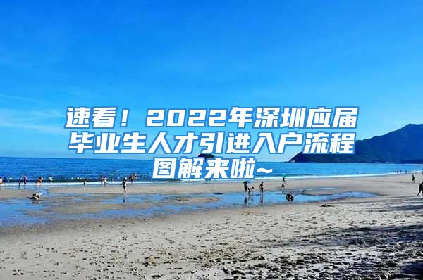 速看！2022年深圳應(yīng)屆畢業(yè)生人才引進(jìn)入戶流程圖解來啦~