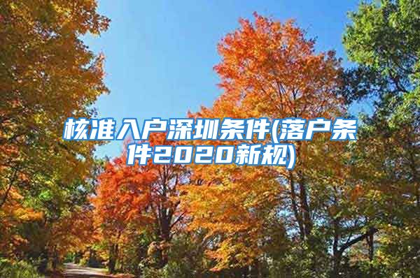 核準(zhǔn)入戶深圳條件(落戶條件2020新規(guī))