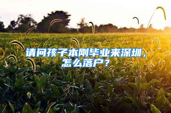 請問孩子本剛畢業(yè)來深圳，怎么落戶？