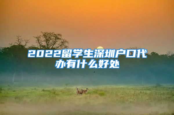 2022留學(xué)生深圳戶口代辦有什么好處