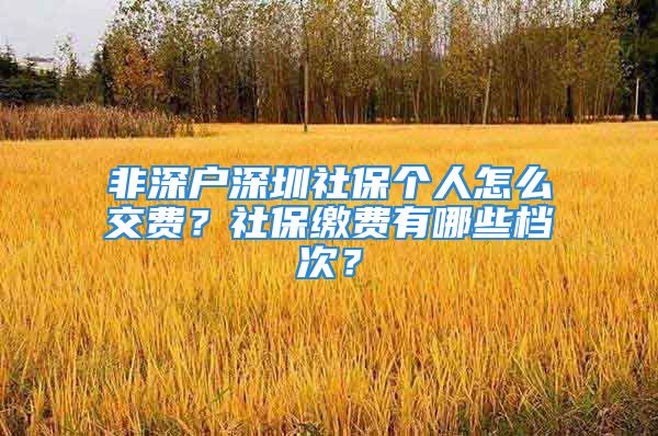 非深戶深圳社保個(gè)人怎么交費(fèi)？社保繳費(fèi)有哪些檔次？