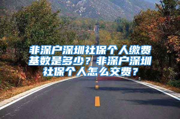 非深戶深圳社保個(gè)人繳費(fèi)基數(shù)是多少？非深戶深圳社保個(gè)人怎么交費(fèi)？