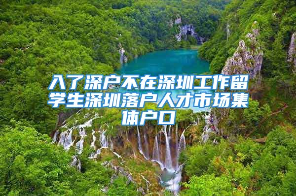 入了深戶(hù)不在深圳工作留學(xué)生深圳落戶(hù)人才市場(chǎng)集體戶(hù)口