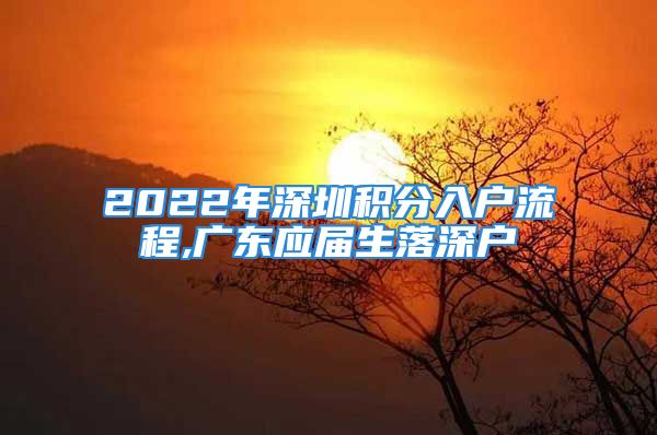 2022年深圳積分入戶(hù)流程,廣東應(yīng)屆生落深戶(hù)