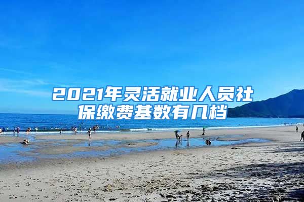 2021年靈活就業(yè)人員社保繳費(fèi)基數(shù)有幾檔