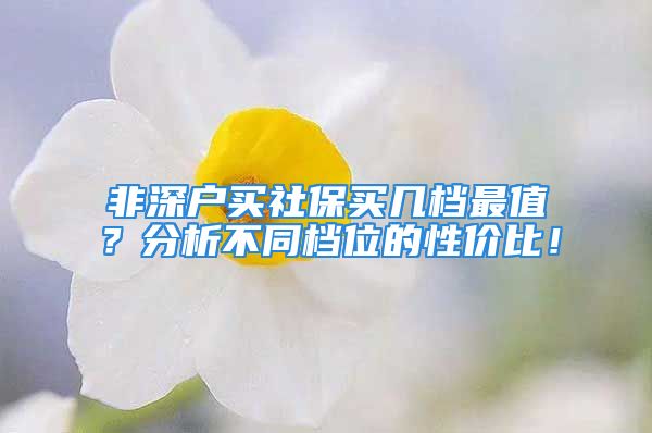 非深戶(hù)買(mǎi)社保買(mǎi)幾檔最值？分析不同檔位的性?xún)r(jià)比！