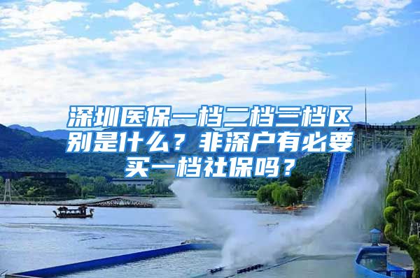 深圳醫(yī)保一檔二檔三檔區(qū)別是什么？非深戶有必要買一檔社保嗎？