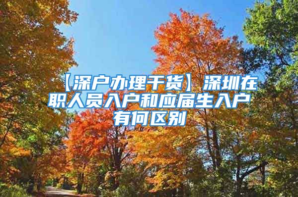 【深戶辦理干貨】深圳在職人員入戶和應(yīng)屆生入戶有何區(qū)別