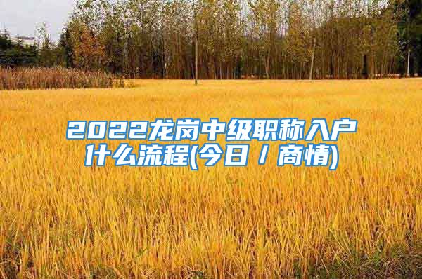 2022龍崗中級職稱入戶什么流程(今日／商情)