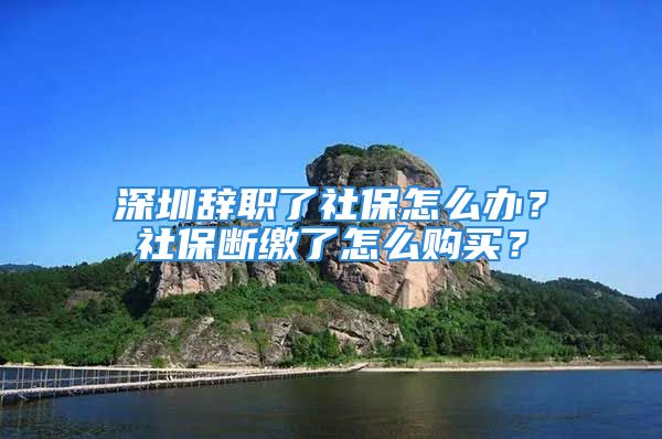 深圳辭職了社保怎么辦？社保斷繳了怎么購買？