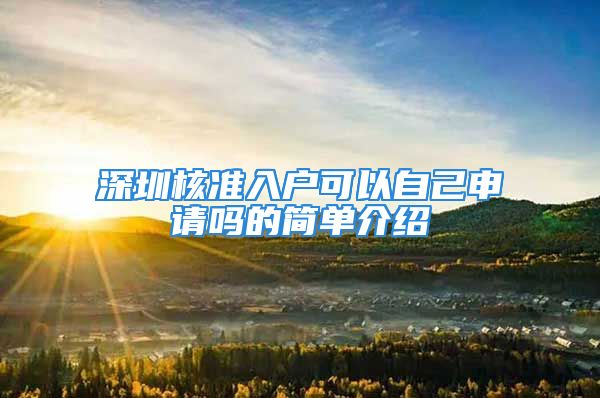 深圳核準(zhǔn)入戶可以自己申請嗎的簡單介紹