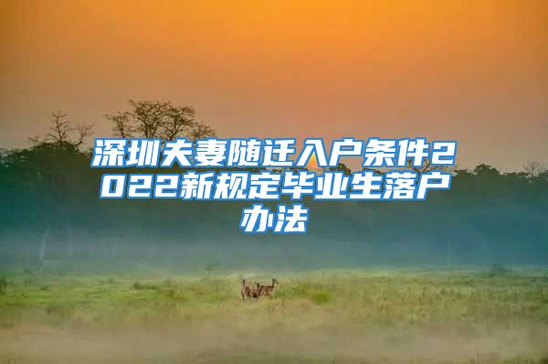 深圳夫妻隨遷入戶條件2022新規(guī)定畢業(yè)生落戶辦法