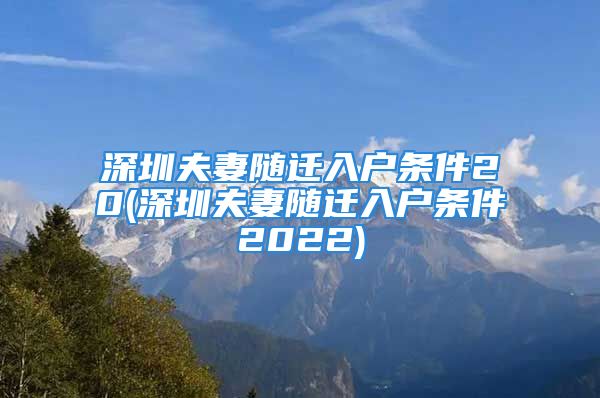 深圳夫妻隨遷入戶條件20(深圳夫妻隨遷入戶條件2022)