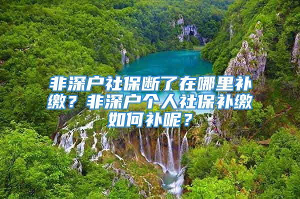 非深戶社保斷了在哪里補(bǔ)繳？非深戶個(gè)人社保補(bǔ)繳如何補(bǔ)呢？