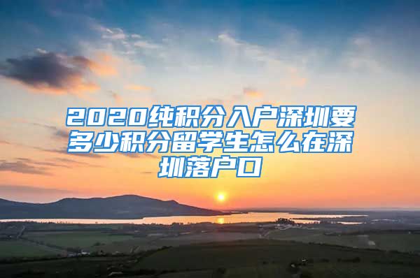 2020純積分入戶深圳要多少積分留學(xué)生怎么在深圳落戶口