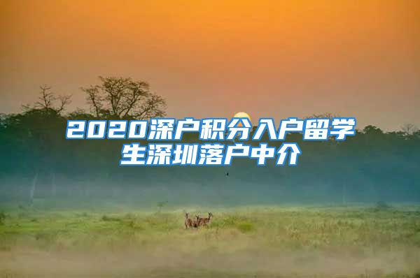 2020深戶積分入戶留學(xué)生深圳落戶中介