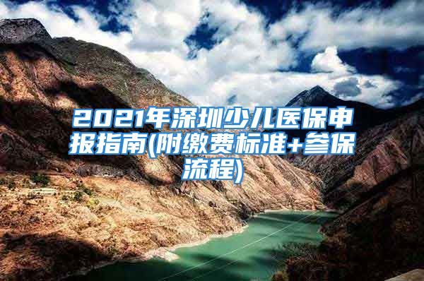 2021年深圳少兒醫(yī)保申報(bào)指南(附繳費(fèi)標(biāo)準(zhǔn)+參保流程)