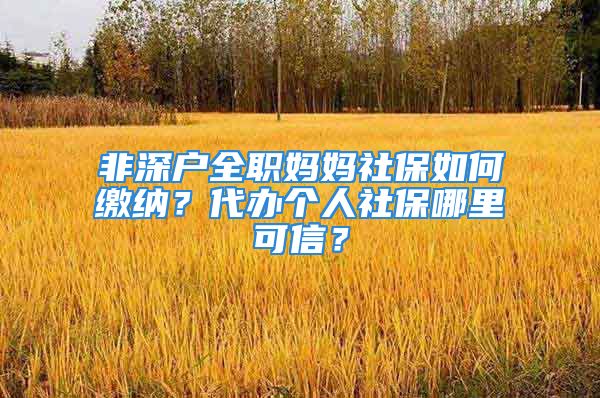 非深戶全職媽媽社保如何繳納？代辦個人社保哪里可信？