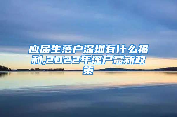 應(yīng)屆生落戶深圳有什么福利,2022年深戶蕞新政策