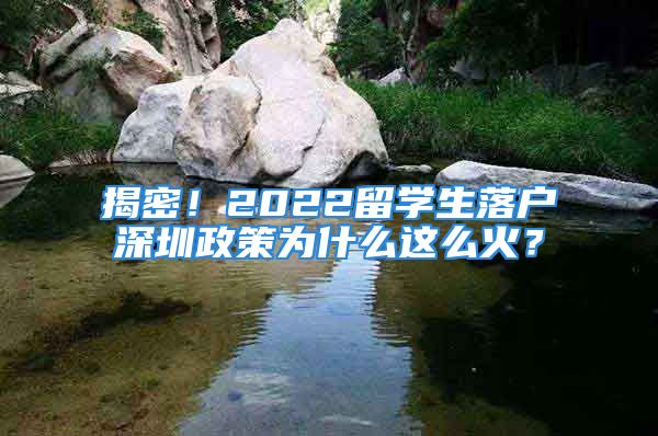 揭密！2022留學(xué)生落戶深圳政策為什么這么火？