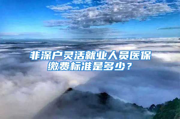 非深戶靈活就業(yè)人員醫(yī)保繳費(fèi)標(biāo)準(zhǔn)是多少？