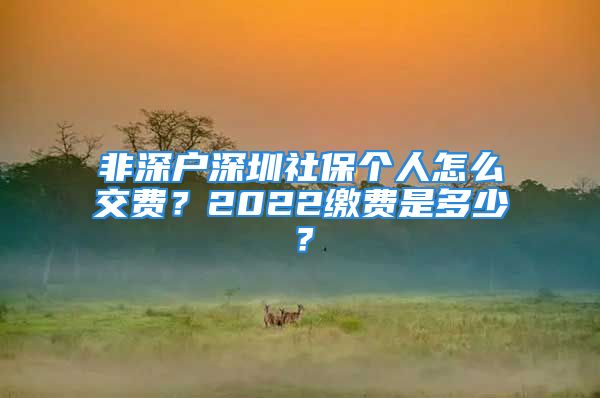 非深戶深圳社保個(gè)人怎么交費(fèi)？2022繳費(fèi)是多少？