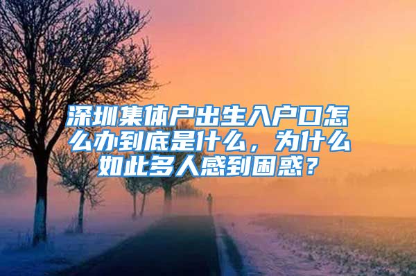 深圳集體戶出生入戶口怎么辦到底是什么，為什么如此多人感到困惑？