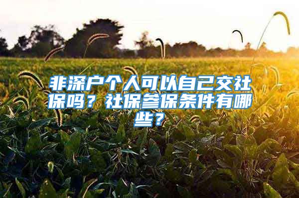 非深戶個(gè)人可以自己交社保嗎？社保參保條件有哪些？