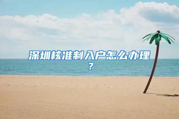 深圳核準(zhǔn)制入戶怎么辦理？